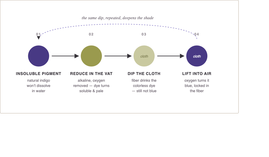 Diagram of the indigo dip cycle: insoluble pigment, reduced in the vat, dipped into cloth, then lifted into air to oxidize and turn blue