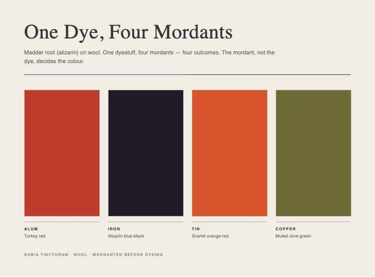 Chart titled One Dye, Four Mordants: four color swatches showing alizarin dye on wool with different mordants — alum (Turkey red), iron (alizarin blue-black), tin (scarlet orange-red), copper (muted olive-green)