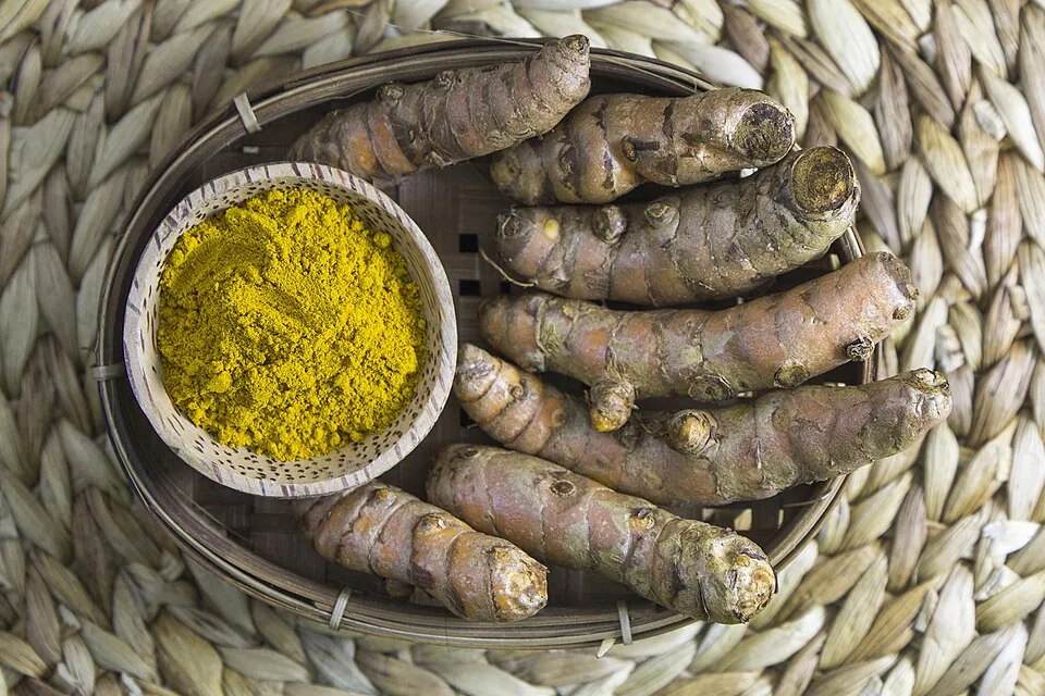 Fresh turmeric root and a bowl of ground turmeric powder