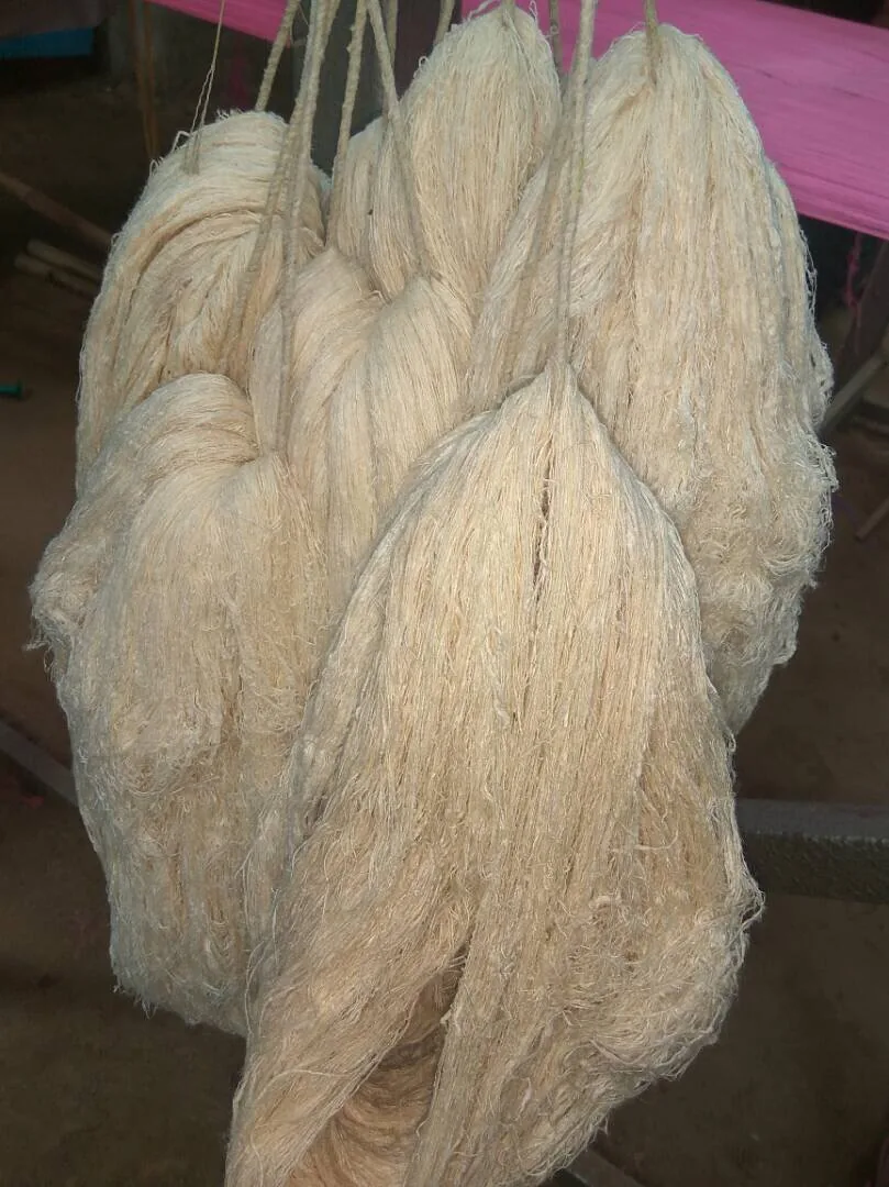 Hanks of raw Eri silk fiber, freshly reeled and hanging to dry